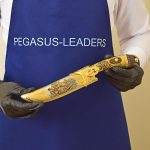 gift knife from the company Pegasus Leders