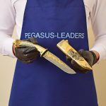 gift hunting knife from the company Pegasus leaders