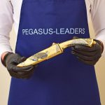 gift hunting knife from the company Pegasus leaders