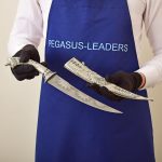 Pegasus Leaders new model knife